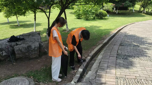 图片8.png
